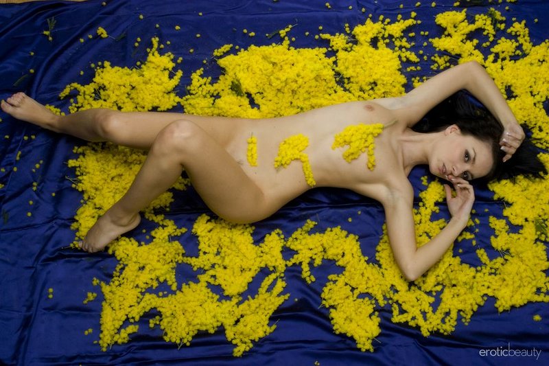 Катюшка, 33
